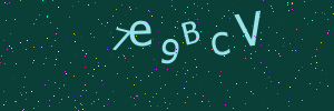 Validation image