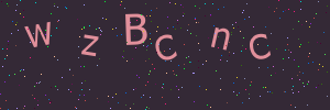 Validation image